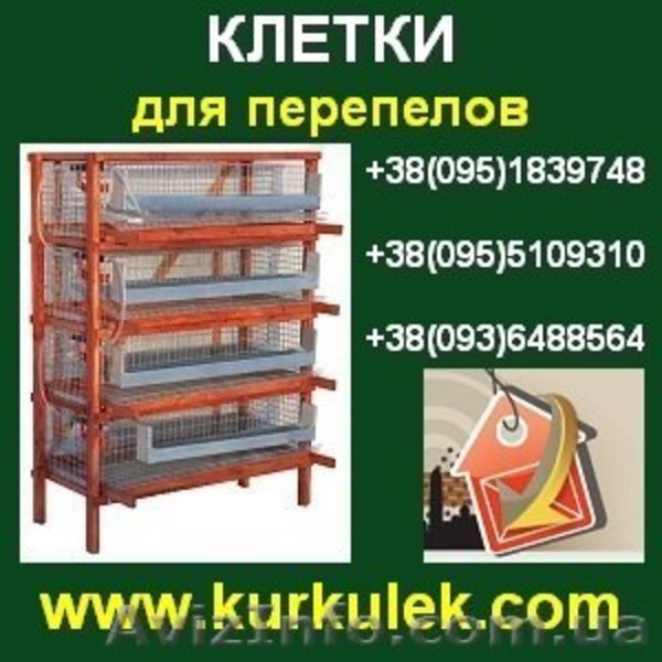 Купить КЛЕТКИ для перепелов в Украине. Доставка. - <ro>Изображение</ro><ru>Изображение</ru> #4, <ru>Объявление</ru> #644154