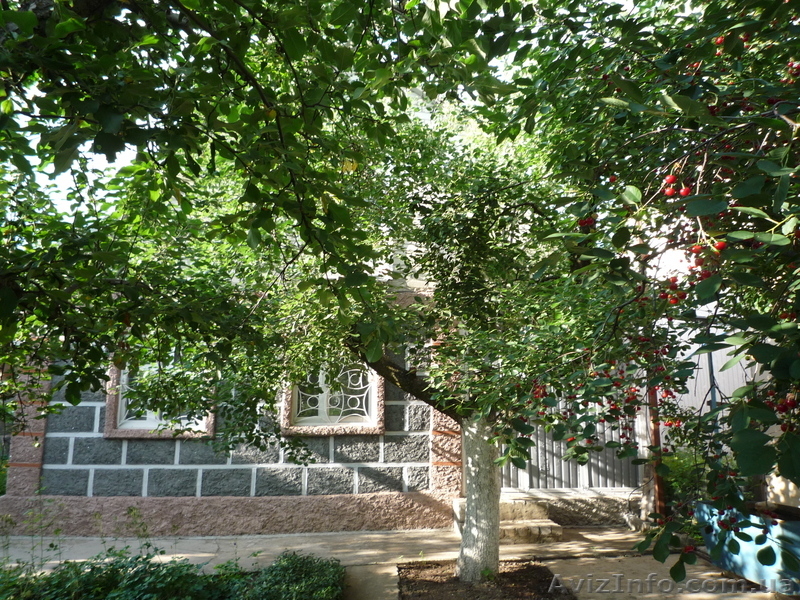 Продаётся дачный участок в Моспино - <ro>Изображение</ro><ru>Изображение</ru> #3, <ru>Объявление</ru> #655511