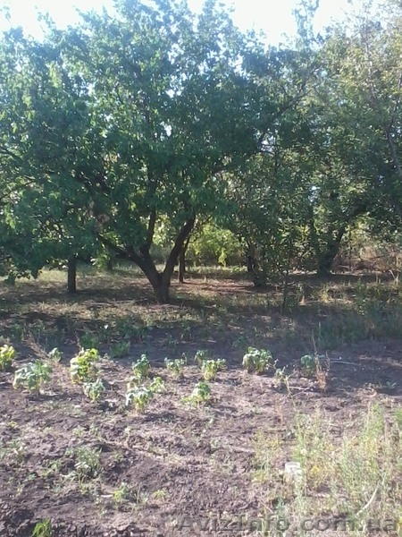 Продам дачу, деревянный домик, 12 сот, сад, Моспино - <ro>Изображение</ro><ru>Изображение</ru> #3, <ru>Объявление</ru> #727808