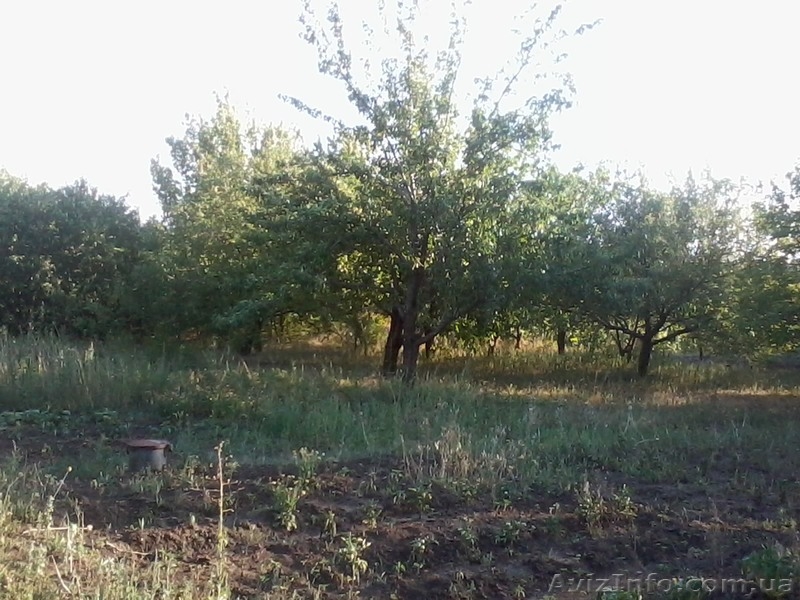 Продам дачу, деревянный домик, 12 сот, сад, Моспино - <ro>Изображение</ro><ru>Изображение</ru> #7, <ru>Объявление</ru> #727808