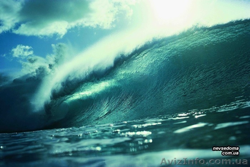 ветошь х/б,порошок стиральный,хоз инвентарь - <ro>Изображение</ro><ru>Изображение</ru> #1, <ru>Объявление</ru> #709145