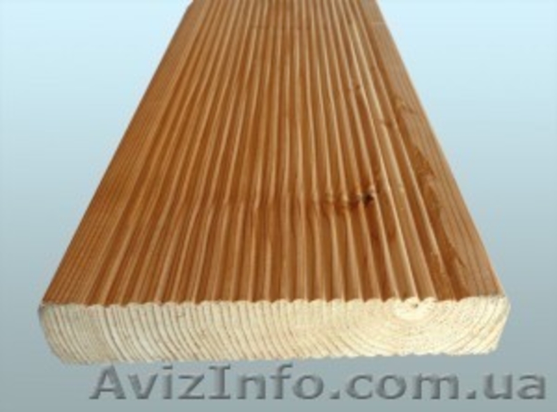 Лиственница сибирская Донецк Украина - <ro>Изображение</ro><ru>Изображение</ru> #5, <ru>Объявление</ru> #153155