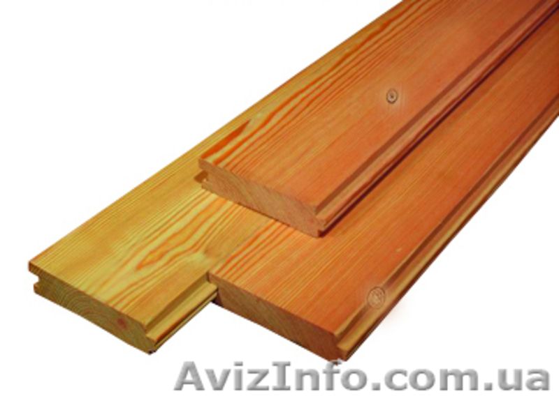 Лиственница сибирская Донецк Украина - <ro>Изображение</ro><ru>Изображение</ru> #2, <ru>Объявление</ru> #153155