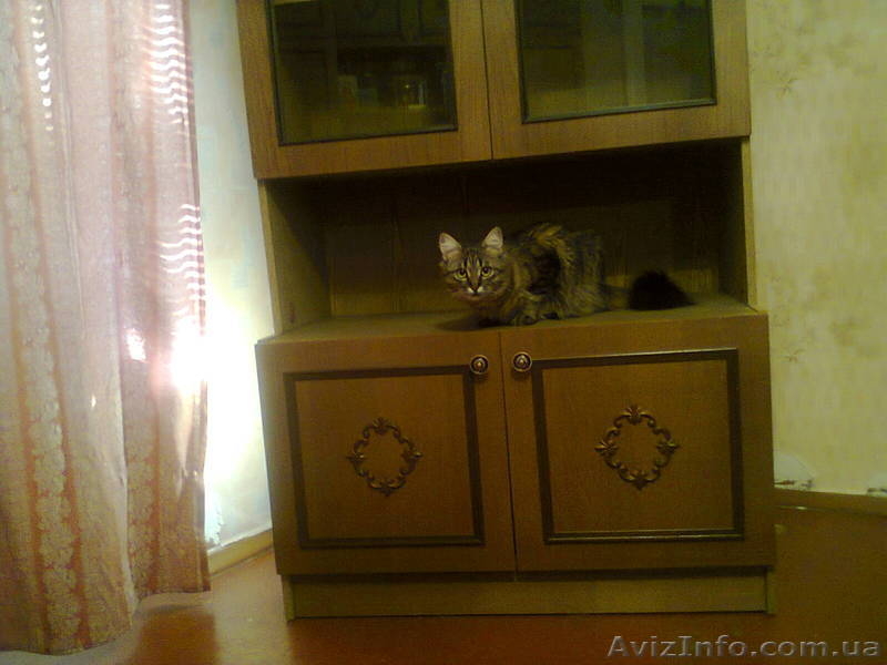 Продам мебельную стенку - <ro>Изображение</ro><ru>Изображение</ru> #2, <ru>Объявление</ru> #730526