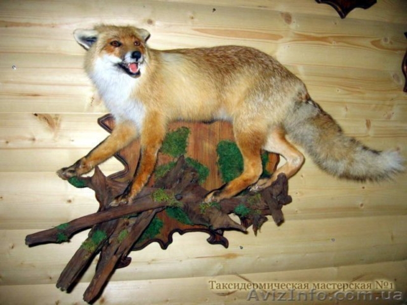 Професійна розробка від 300грн. та підтримка веб-сайтів! - <ro>Изображение</ro><ru>Изображение</ru> #3, <ru>Объявление</ru> #756054