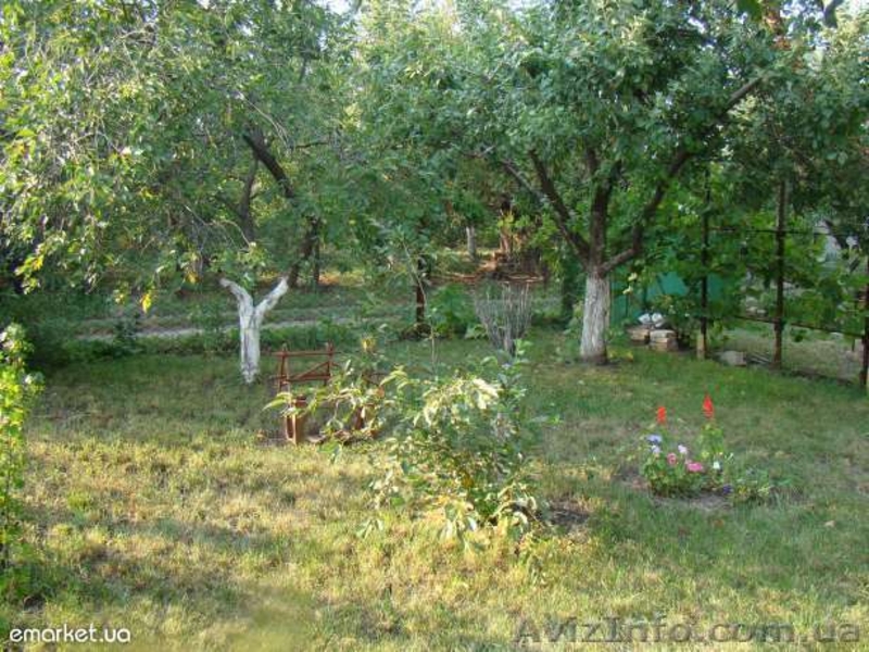 Продам дачу в Моспино, не дорого, в отличном состоянии - <ro>Изображение</ro><ru>Изображение</ru> #3, <ru>Объявление</ru> #758766