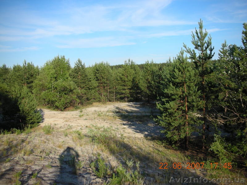 Участок с собственным пляжем на "Голубых Озёрах" - <ro>Изображение</ro><ru>Изображение</ru> #4, <ru>Объявление</ru> #798865