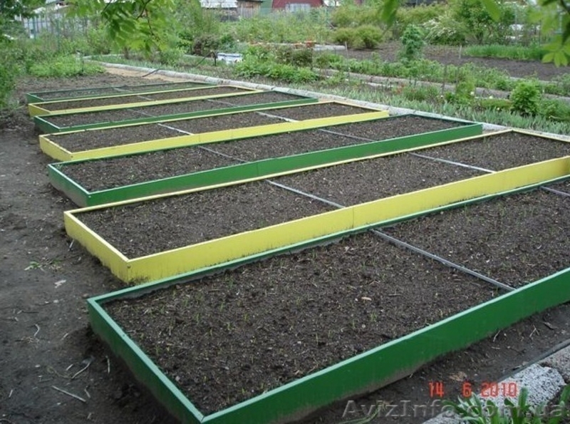 Грядки  из металла с полимерным покрытием 1x4m - <ro>Изображение</ro><ru>Изображение</ru> #2, <ru>Объявление</ru> #818566