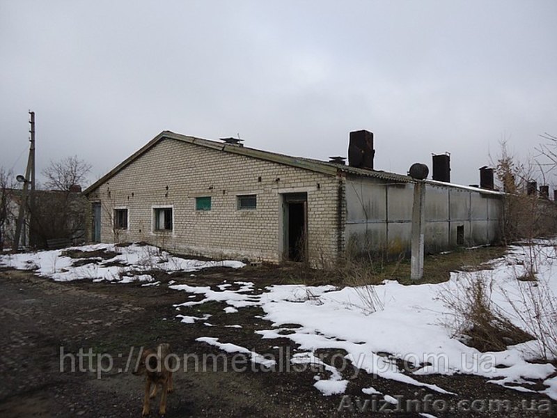 Продам фермерское хозяйство - <ro>Изображение</ro><ru>Изображение</ru> #4, <ru>Объявление</ru> #316482
