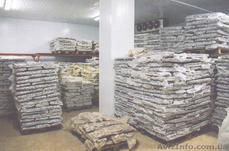 Продам Рыбный цех  - <ro>Изображение</ro><ru>Изображение</ru> #5, <ru>Объявление</ru> #866705