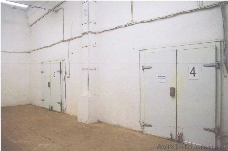Продам Рыбный цех  - <ro>Изображение</ro><ru>Изображение</ru> #6, <ru>Объявление</ru> #866705