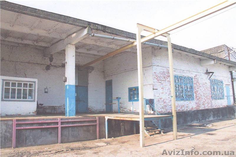 Продам Рыбный цех  - <ro>Изображение</ro><ru>Изображение</ru> #7, <ru>Объявление</ru> #866705