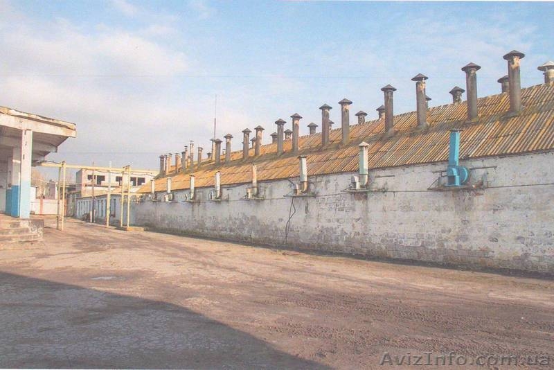 Продам Рыбный цех  - <ro>Изображение</ro><ru>Изображение</ru> #3, <ru>Объявление</ru> #866705