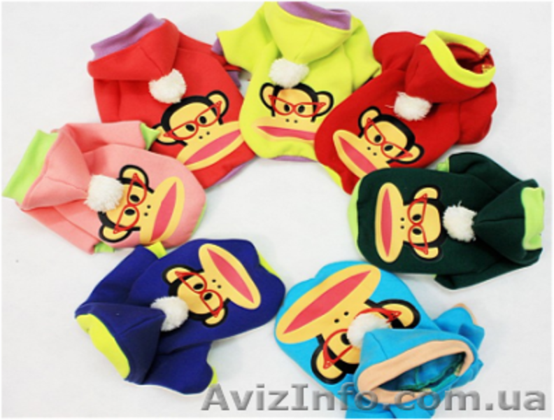 Одежда для собак мелких пород в ассортименте - <ro>Изображение</ro><ru>Изображение</ru> #1, <ru>Объявление</ru> #870991