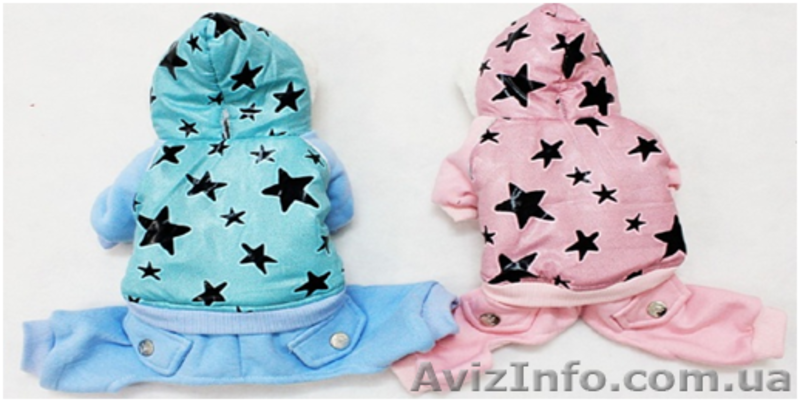 Одежда для собак мелких пород в ассортименте - <ro>Изображение</ro><ru>Изображение</ru> #6, <ru>Объявление</ru> #870991