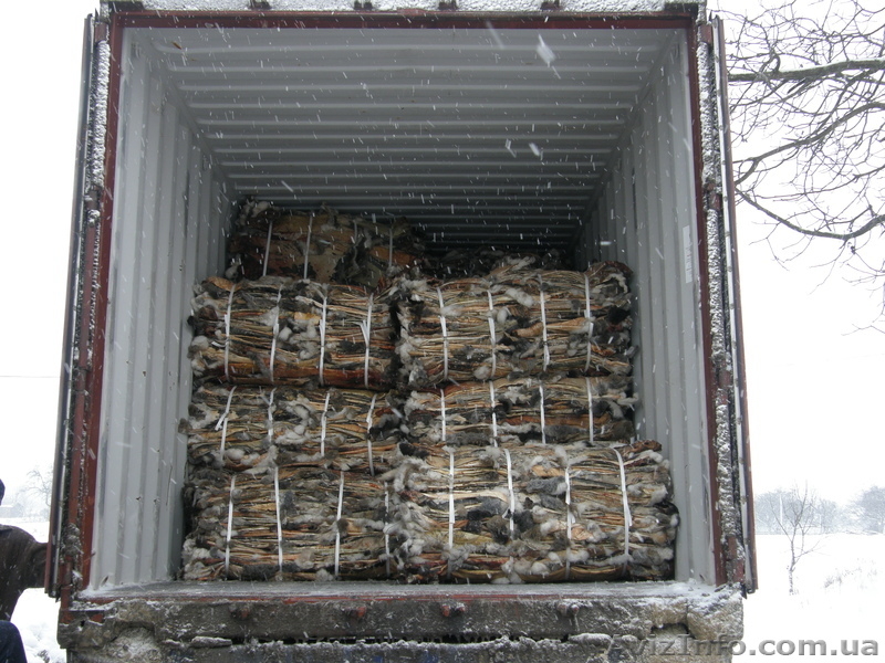 шкурки кролика,фетровые - <ro>Изображение</ro><ru>Изображение</ru> #2, <ru>Объявление</ru> #864928