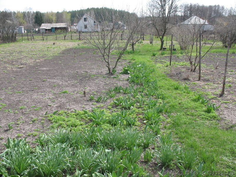 Продам дом в с.Студенок - <ro>Изображение</ro><ru>Изображение</ru> #3, <ru>Объявление</ru> #872587