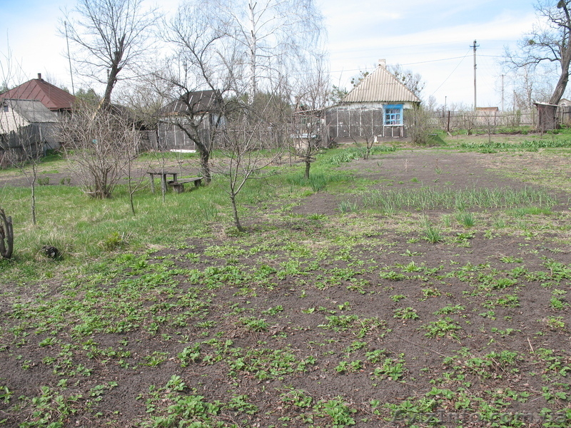 Продам дом в с.Студенок - <ro>Изображение</ro><ru>Изображение</ru> #7, <ru>Объявление</ru> #872587