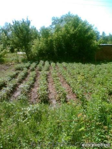 Продаю дом в Константиновке - <ro>Изображение</ro><ru>Изображение</ru> #5, <ru>Объявление</ru> #884402