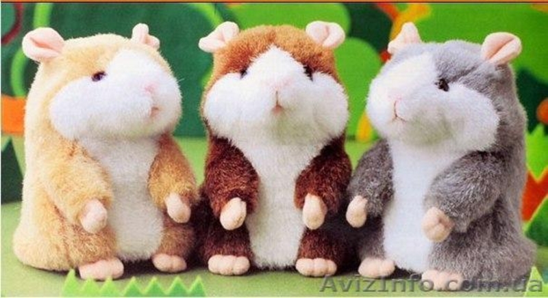 Говорящий хомяк-повторюшка! В наличии! - <ro>Изображение</ro><ru>Изображение</ru> #1, <ru>Объявление</ru> #905728