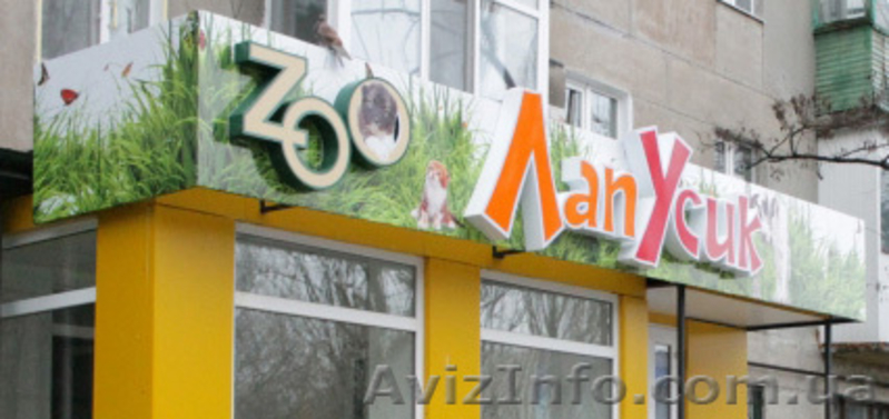 Театр начинается с вешалки, а бизнес с вывески - <ro>Изображение</ro><ru>Изображение</ru> #8, <ru>Объявление</ru> #896149