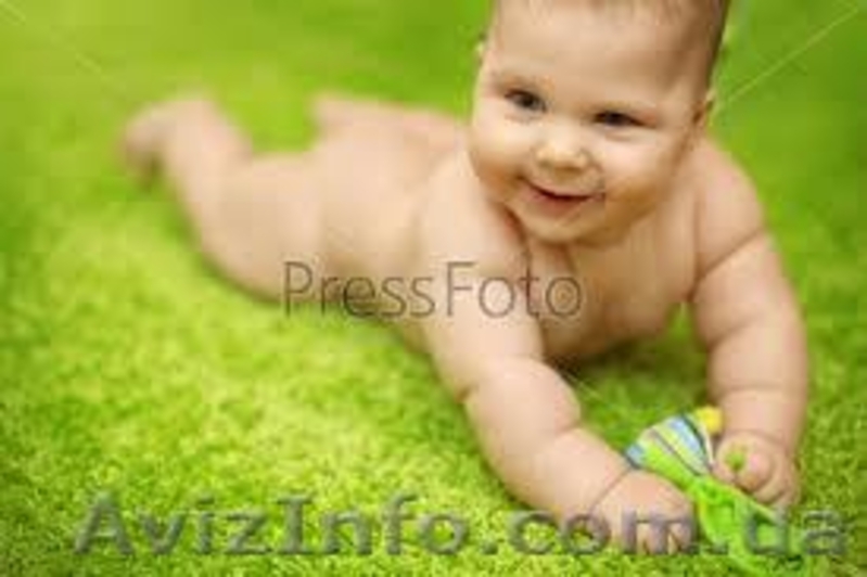 Химчистка ковров с вывозом - <ro>Изображение</ro><ru>Изображение</ru> #3, <ru>Объявление</ru> #908671