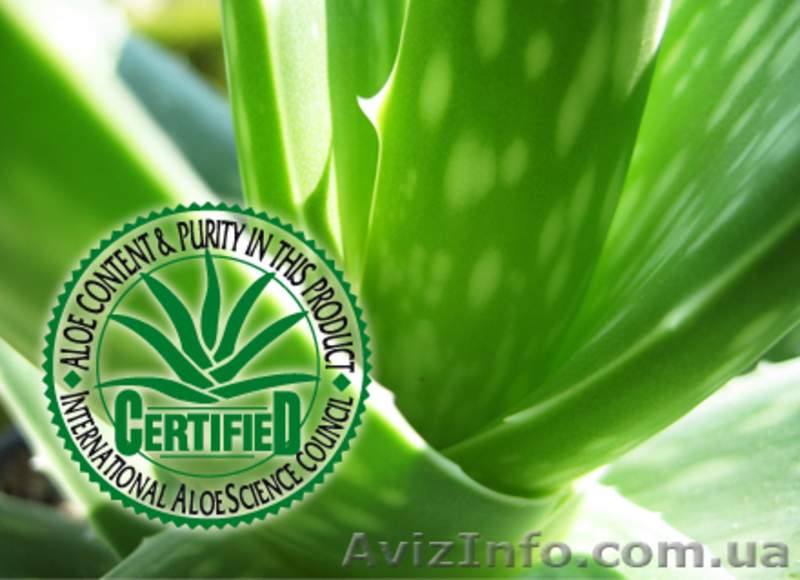 Постройте бизнес с компанией Forever Living Products - <ro>Изображение</ro><ru>Изображение</ru> #3, <ru>Объявление</ru> #912691