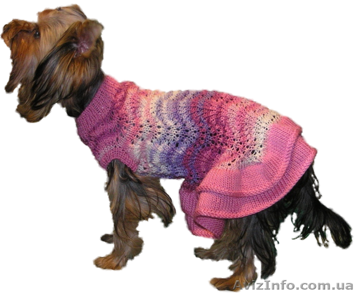 Одежда животным свяжу платье цветная Волна - <ro>Изображение</ro><ru>Изображение</ru> #4, <ru>Объявление</ru> #938704