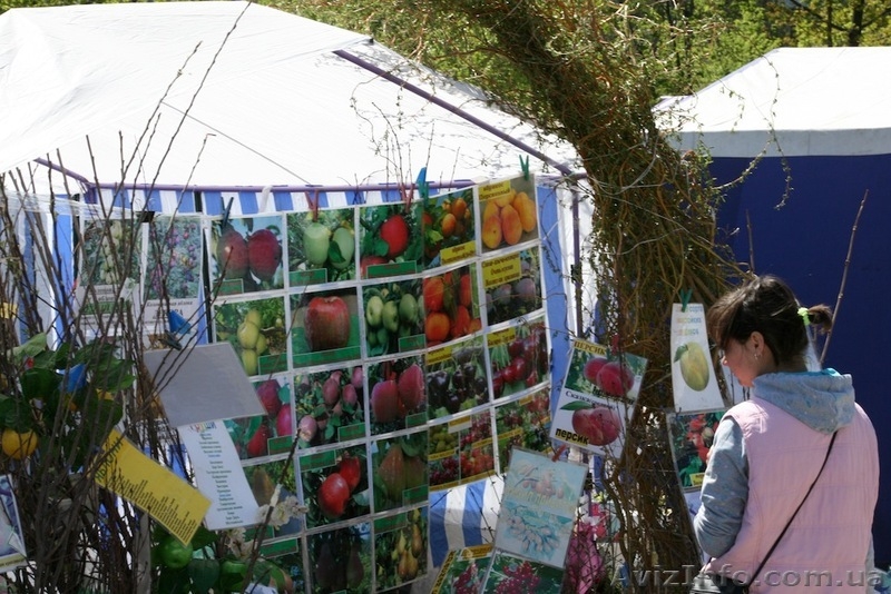 Выставка-продажа «Зеленая Усадьба» - <ro>Изображение</ro><ru>Изображение</ru> #3, <ru>Объявление</ru> #951235