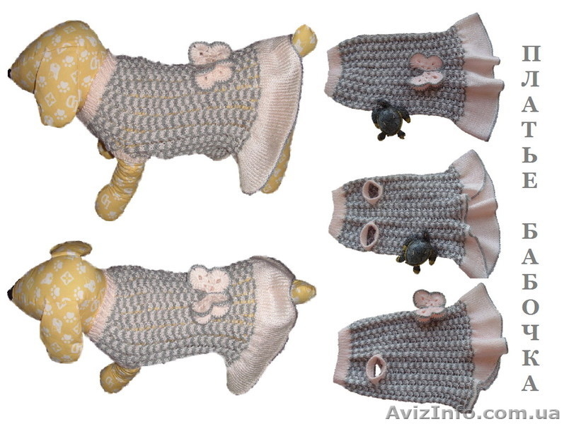 Одежда животным свяжу платье Бабочка - <ro>Изображение</ro><ru>Изображение</ru> #1, <ru>Объявление</ru> #938687