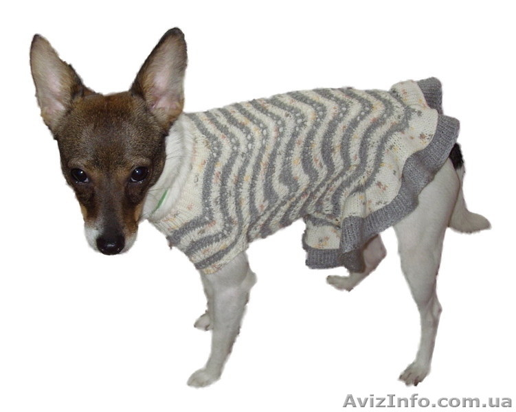 Одежда животным платье Волна - <ro>Изображение</ro><ru>Изображение</ru> #6, <ru>Объявление</ru> #915565