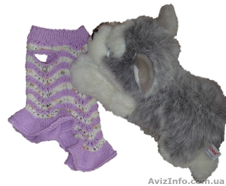 Одежда животным платье Волна мини  - <ro>Изображение</ro><ru>Изображение</ru> #4, <ru>Объявление</ru> #915560