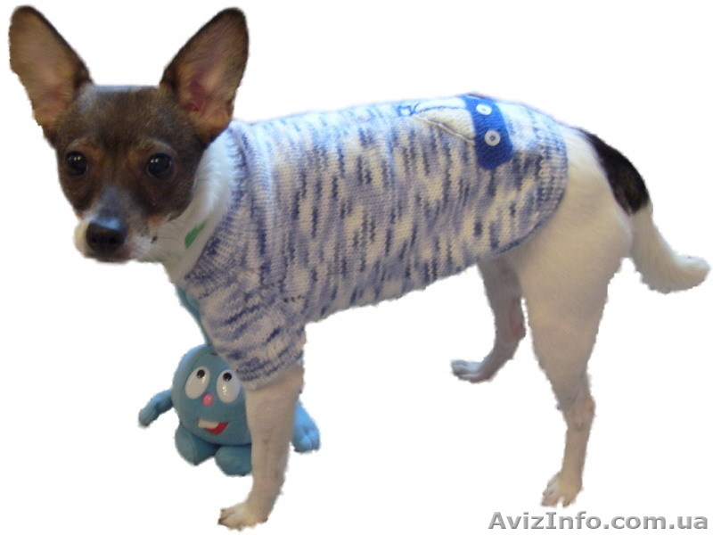 Одежда животным свитер Кораблик - <ro>Изображение</ro><ru>Изображение</ru> #7, <ru>Объявление</ru> #938696