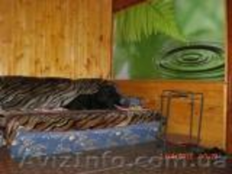 Сдам для отдыха уютную уютную дачу в Святогорске и квартиру  в  центре - <ro>Изображение</ro><ru>Изображение</ru> #9, <ru>Объявление</ru> #257472