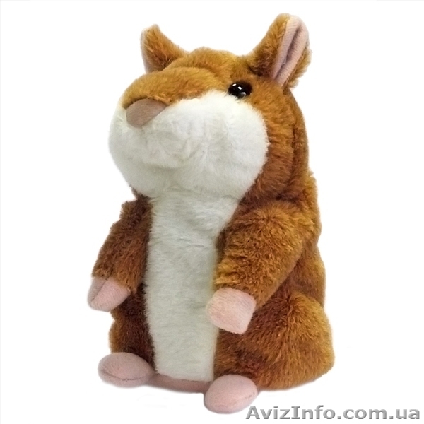 Хомячок который не даст вам скучать! :) - <ro>Изображение</ro><ru>Изображение</ru> #3, <ru>Объявление</ru> #957372