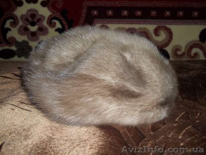 норковый берет и 2 норковых воротника - <ro>Изображение</ro><ru>Изображение</ru> #2, <ru>Объявление</ru> #968464