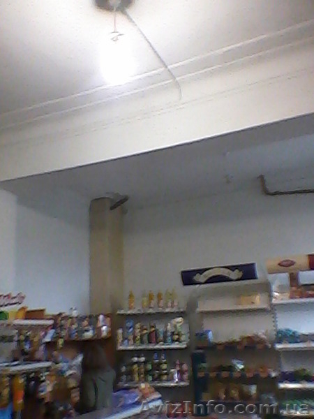 Продам действ.магазин,по Ковалевской,конкурентов рядом нет,хозяин - <ro>Изображение</ro><ru>Изображение</ru> #3, <ru>Объявление</ru> #980672