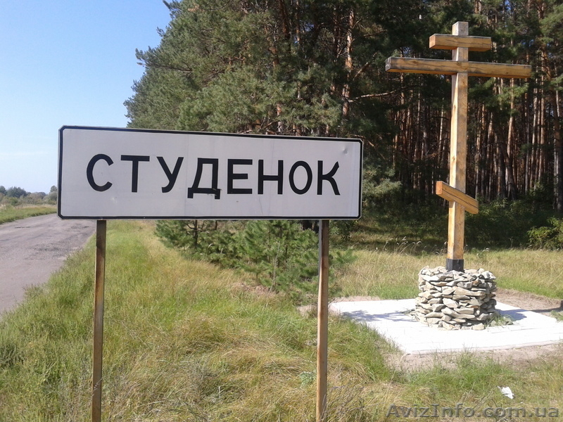 Сдам дом в деревне возле леса - <ro>Изображение</ro><ru>Изображение</ru> #9, <ru>Объявление</ru> #288090