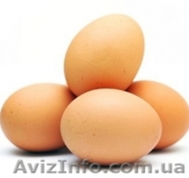 Интернет-магазин органических продуктов "Терра Органика" в Донецке - <ro>Изображение</ro><ru>Изображение</ru> #8, <ru>Объявление</ru> #1045515