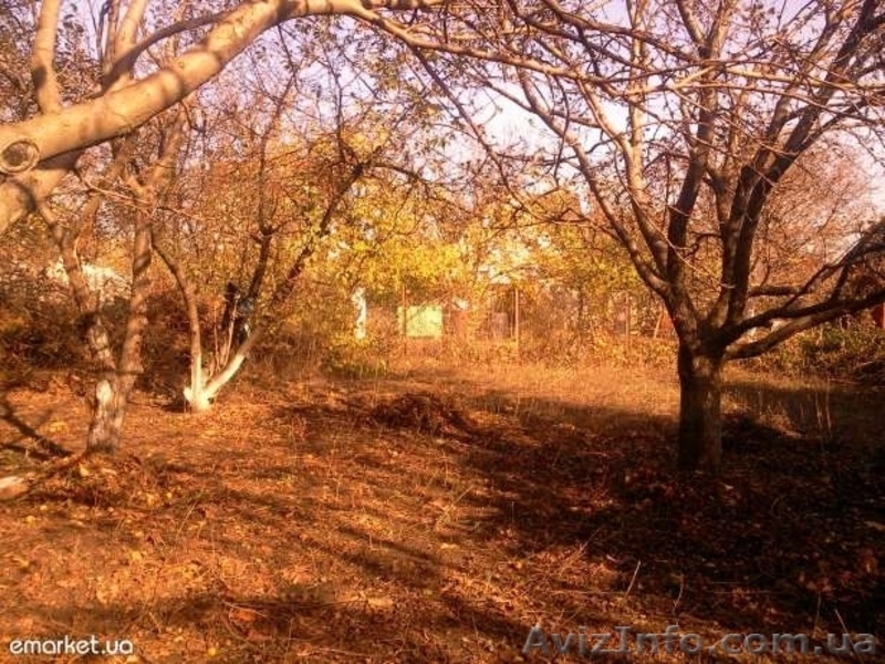 Продаётся участок  - <ro>Изображение</ro><ru>Изображение</ru> #3, <ru>Объявление</ru> #1054710