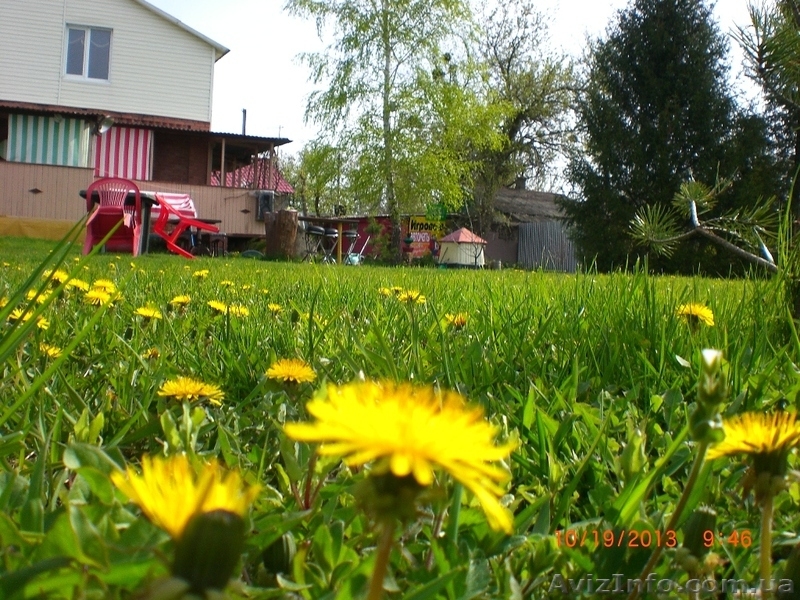 Сдам дом в деревне возле леса - <ro>Изображение</ro><ru>Изображение</ru> #6, <ru>Объявление</ru> #288090