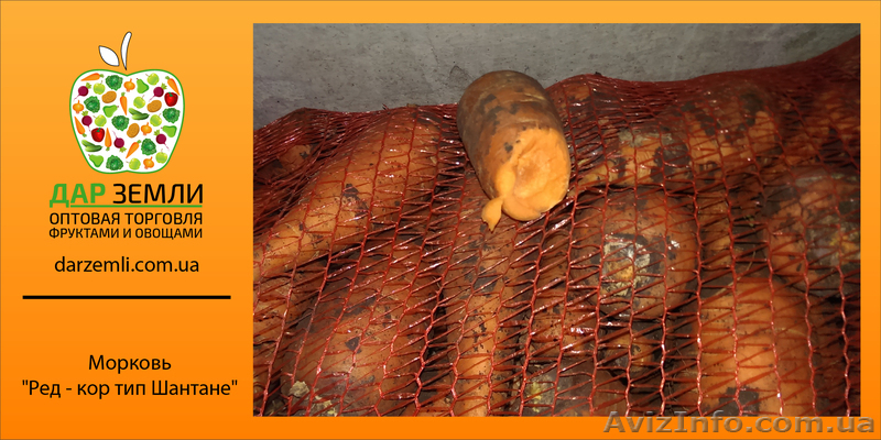 Глумов Дмитрий, @-mail: Dar_Zemli@bk.ru, +38 099 048 49 46 - <ro>Изображение</ro><ru>Изображение</ru> #2, <ru>Объявление</ru> #1072193