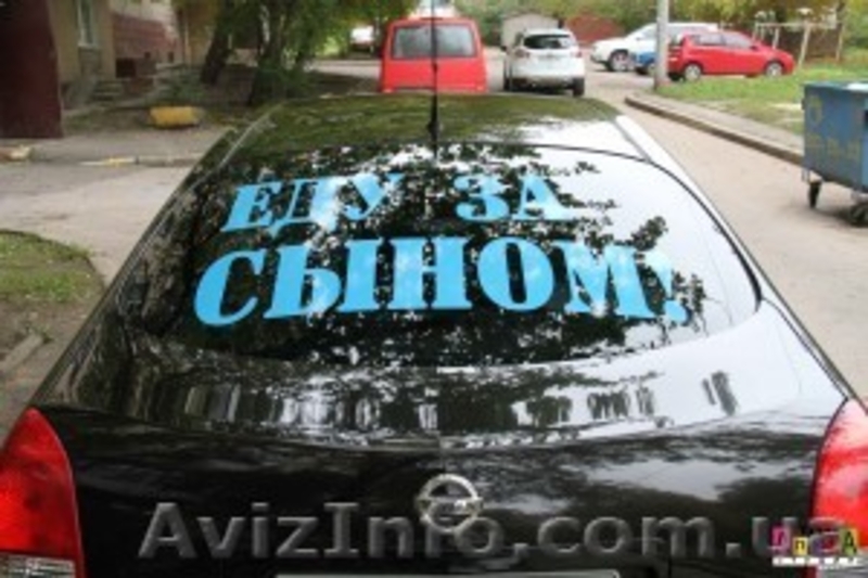 Заказать шары на выписку из роддома - <ro>Изображение</ro><ru>Изображение</ru> #3, <ru>Объявление</ru> #1090575