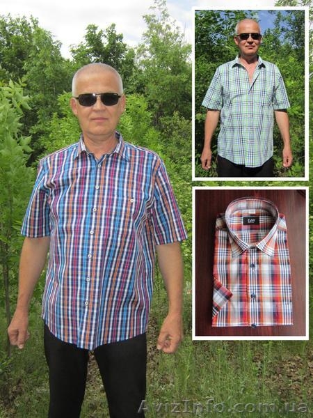 Мужская рубашка в клетку с коротким рукавом. - <ro>Изображение</ro><ru>Изображение</ru> #1, <ru>Объявление</ru> #1096240