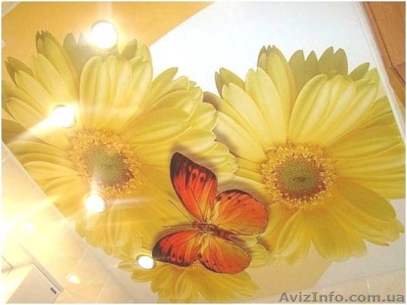 Фотопечать на натяжных потолках Донецк, Макеевка.  - <ro>Изображение</ro><ru>Изображение</ru> #2, <ru>Объявление</ru> #1198474