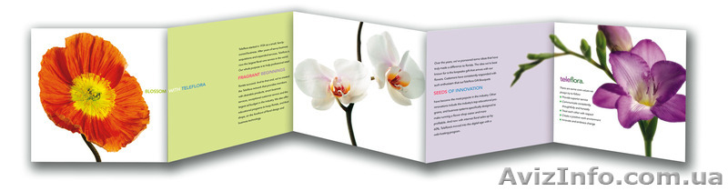 Печать листовок,визиток,буклетов,флаеров,плакатов,постеров,банеров,наклеек - <ro>Изображение</ro><ru>Изображение</ru> #8, <ru>Объявление</ru> #1343167