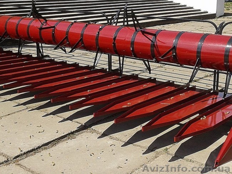 Приспособление для подсолнуха Фортшритт, Массей Фергюсон купить, цена - <ro>Изображение</ro><ru>Изображение</ru> #3, <ru>Объявление</ru> #1575886