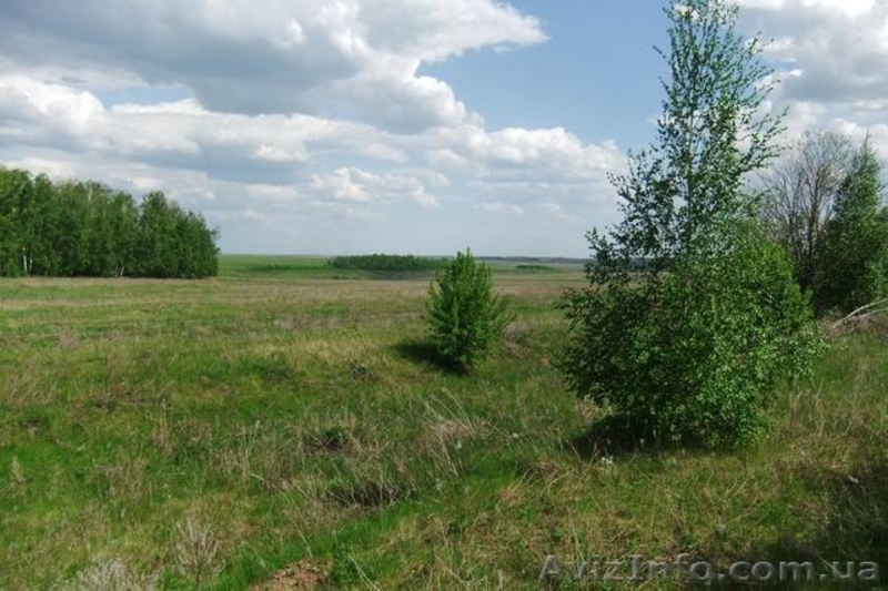 Дом в Киевской области с большим участком земли - <ro>Изображение</ro><ru>Изображение</ru> #6, <ru>Объявление</ru> #1622659