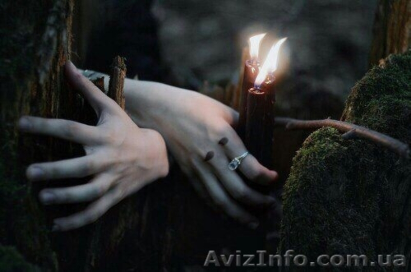 Магия в четыре руки  - <ro>Изображение</ro><ru>Изображение</ru> #1, <ru>Объявление</ru> #1628744