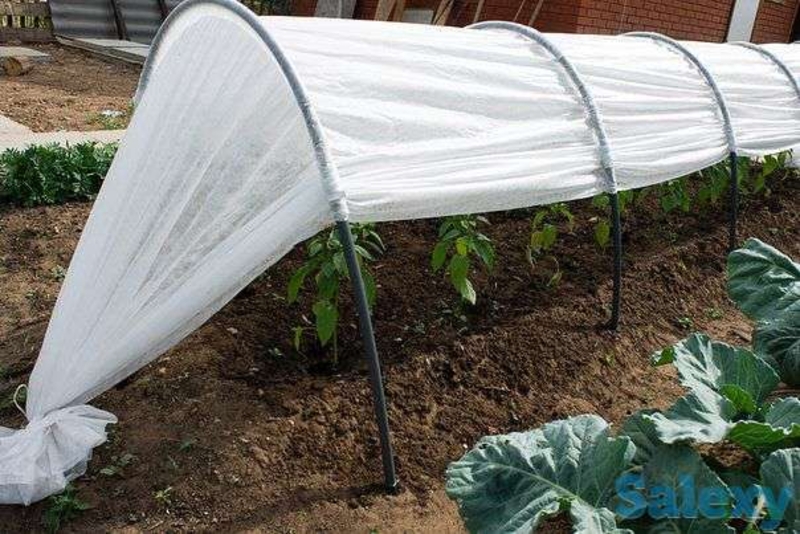 Продам земельный участок на азовском море. - <ro>Изображение</ro><ru>Изображение</ru> #9, <ru>Объявление</ru> #1720776